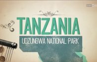Neue Wunder der Natur Doku deutsch HD Tanzania