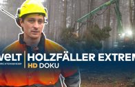 Knochenjob HOLZFÄLLER – Extremer Einsatz am Limit | HD Doku