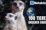 100 Tiere unserer Erde (Dokumentation in voller Länge auf deutsch, Tier Doku komplett auf deutsch)