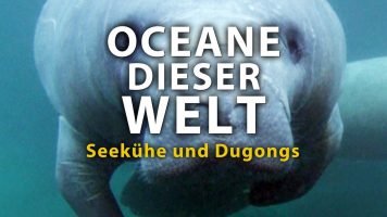 Ozeane dieser Welt – Seekühe und Dugongs (2011)  | Film