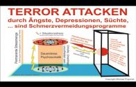 Psychologie: Überlebensprogramm Trauma / Blockade – Traumen auflösen Voraussetzung: „Handlungsebene“