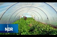 Regionale Landwirtschaft: Wenn Essen wieder was wert ist | die nordstory | NDR Doku