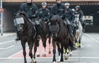 Reiterstaffel-Polizei im Einsatz [Doku Polizei 2016]