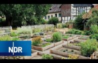Schatzkammer Klostergarten: Platz für seltene Tiere und Pflanzen | NaturNah | NDR Doku