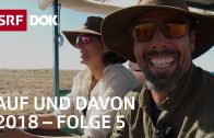 Schweizer Auswanderer | Marokko, Australien, Schweden | Auf und davon 2018 (5/6) | Doku | SRF DOK