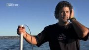 Spurensuche Der Weiße Hai im Mittelmeer Im Bann der Tiergiganten Doku über Haie Teil 1