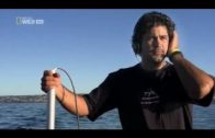 Spurensuche Der Weiße Hai im Mittelmeer Im Bann der Tiergiganten Doku über Haie Teil 1