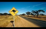 Steffens entdeckt: Australien Eldorado der Natur Doku 2018