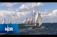 Stress für Schlepper zur Hanse Sail | die nordreportage | NDR Doku