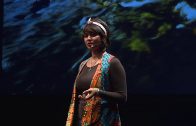 Sustainability in Conservation Activism | Farwiza Farhan | TEDxJakarta