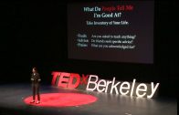 Three Questions to unlock your authentic career: Ashley Stahl at TEDxBerkeley