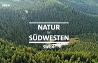 Die Tiere und wir – Natur im Südwesten | Geschichte & Entdeckungen | SWR 08.06.2019