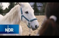 Tierschutz: Die Tierflüsterer | DIE REPORTAGE | NDR Doku