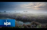 Torfabbau: Ein Problem für Umwelt- und Klimaschutz – Die Suche nach dem Torfersatz | NaturNah | NDR