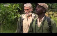 ✪✪  Traumflug durch Afrika (2/2) Vom Okavango zum Äquator  ✪✪