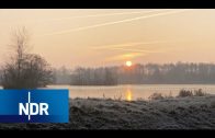Winter in der Lüneburger Heide | NaturNah | NDR Doku