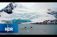 Tierschutz: Expedition Antarktis mit Greenpeace | NDR Doku | DIE REPORTAGE