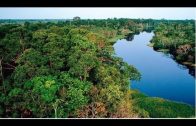 Unser Planet – Die Natur im Amazonas Delta – Doku 2019