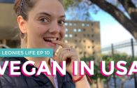 Vegan Essen in USA [Vlog] Leonies Life EP 10