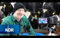 Viehzucht – Frischer Wind im Kuhstall | die nordstory | NDR