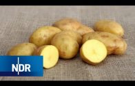 Vom Acker auf den Teller: Kartoffeln für die Zukunft | Wie geht das? | NDR Doku