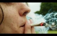 Von Cannabis bis zu Crystal  – Die Drogenlaufbahn eines Junkies Doku HD