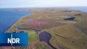 Wattenmeer: Neuanfang auf Hallig Hooge | die nordstory | NDR