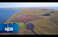 Wattenmeer: Neuanfang auf Hallig Hooge | die nordstory | NDR