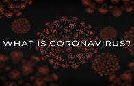 Coronavirus BBC Horizon documentary