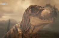 Zeitreise zu den Dinosauriern Vor 4 Milliarden Jahren  [ZDF Doku]