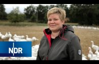 Bauernhof: Wohin mit der Milch? | Hofgeschichten | NDR Doku
